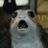 img tweet
